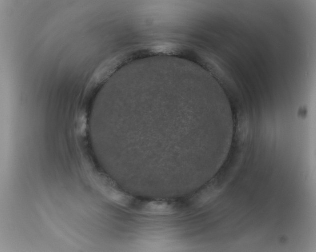 X0000110940502200907022136