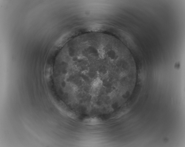 X0000110940503200907022136