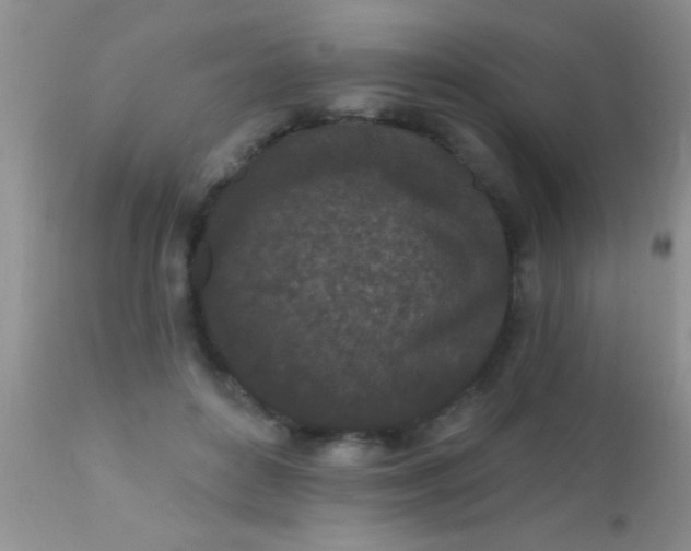 X0000110940504200907022136