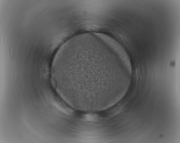 X0000110940508200907022136