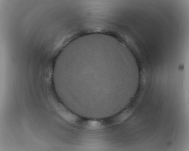 X0000110940509200907022136