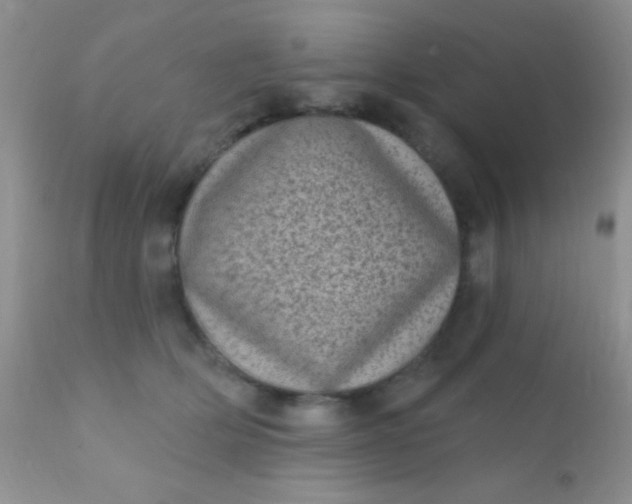 X0000110940514200907022136