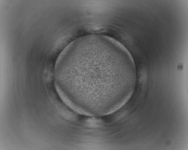 X0000110940515200907022136