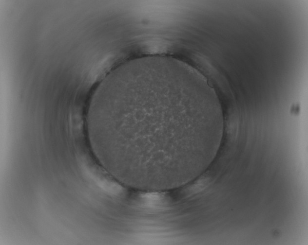 X0000110940516200907022136