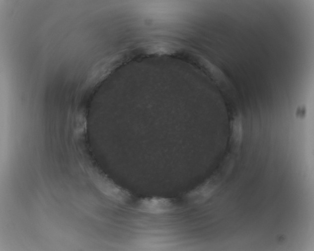 X0000110940517200907022136