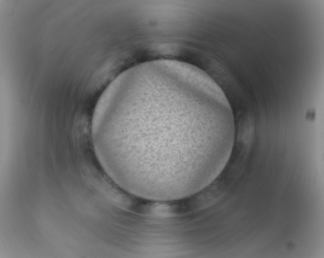 X0000110940518200907022136