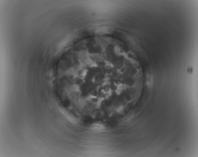 X0000110940519200907022136