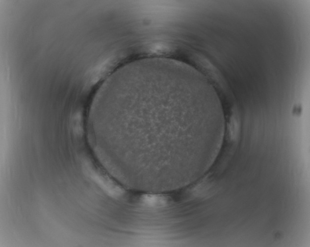 X0000110940520200907022136