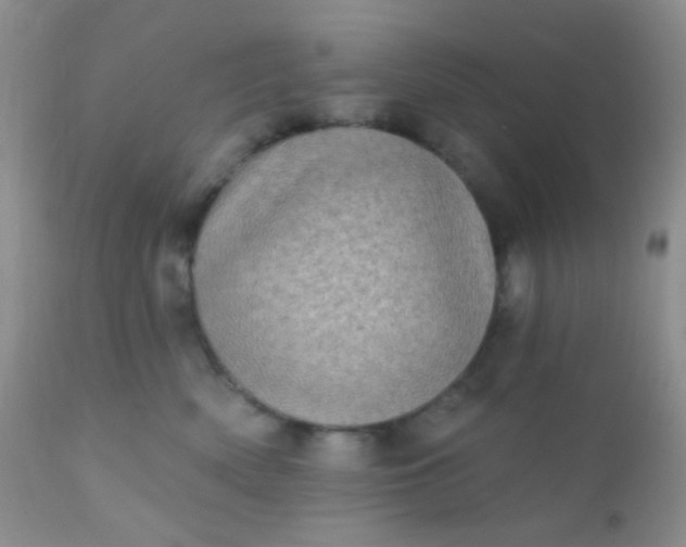 X0000110940522200907022136