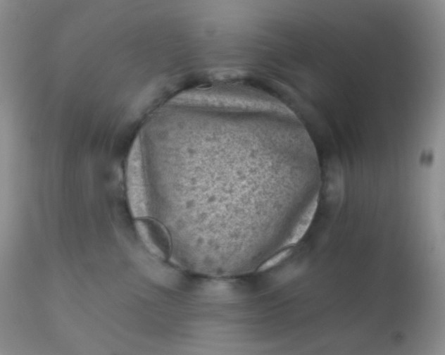 X0000110940523200907022136