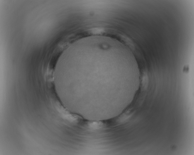 X0000110940525200907022136