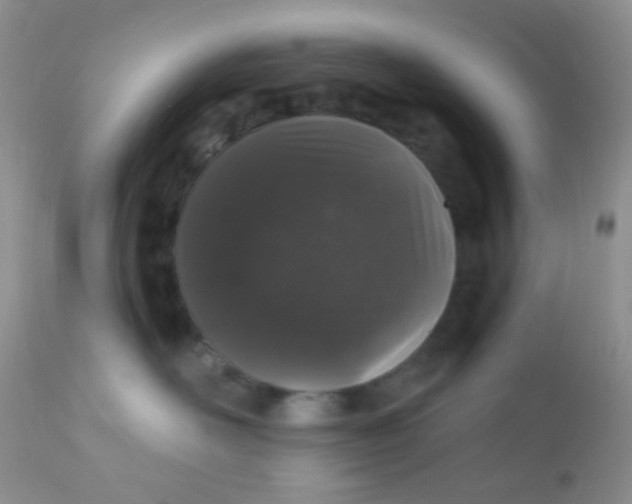 X0000110940526200907022136