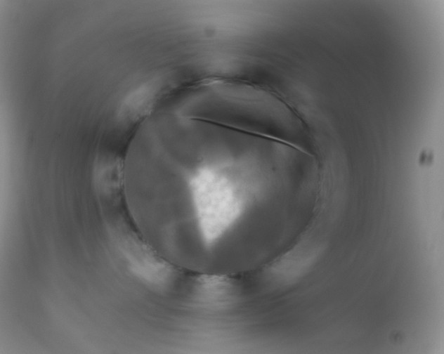 X0000110940528200907022136