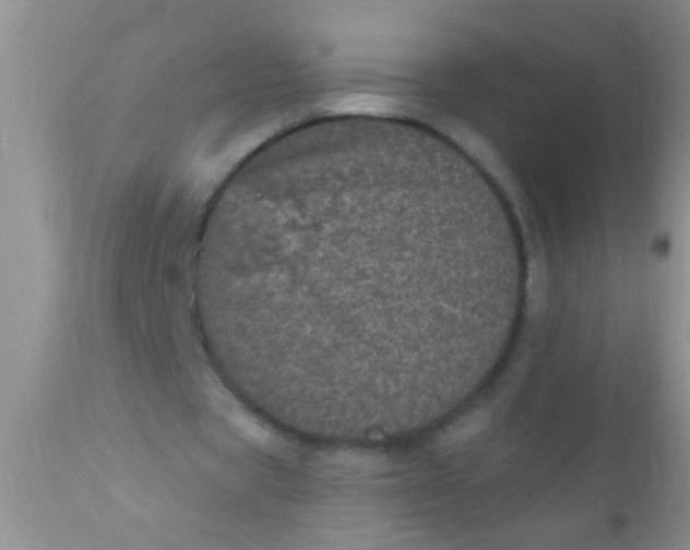 X0000110940529200907022135