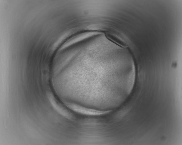 X0000110940530200907022135