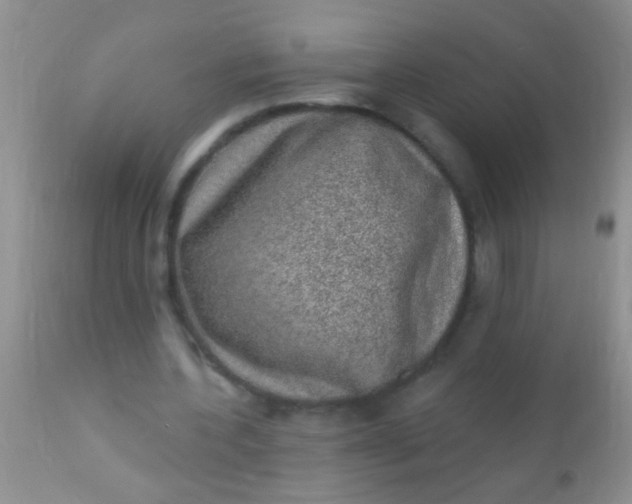 X0000110940532200907022135