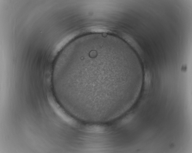 X0000110940533200907022135