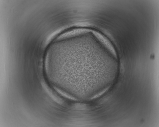 X0000110940535200907022135