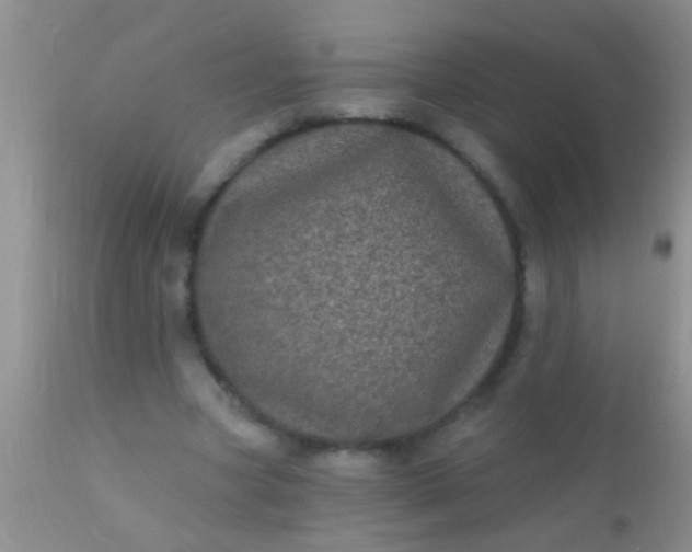 X0000110940537200907022135