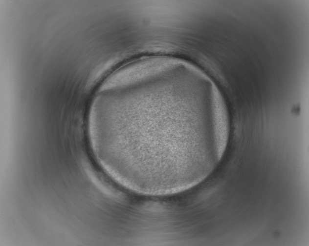 X0000110940538200907022135