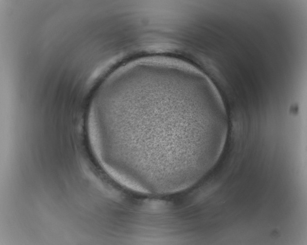 X0000110940539200907022135