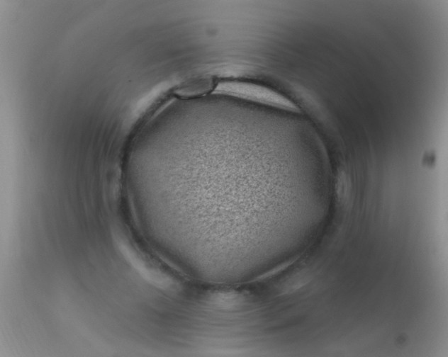 X0000110940540200907022135