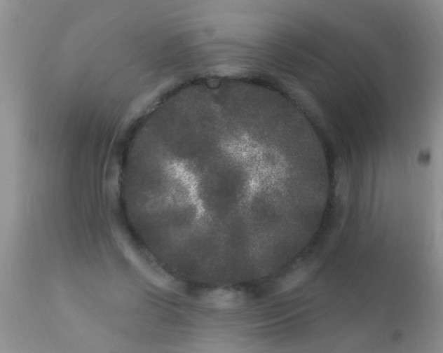 X0000110940542200907022135