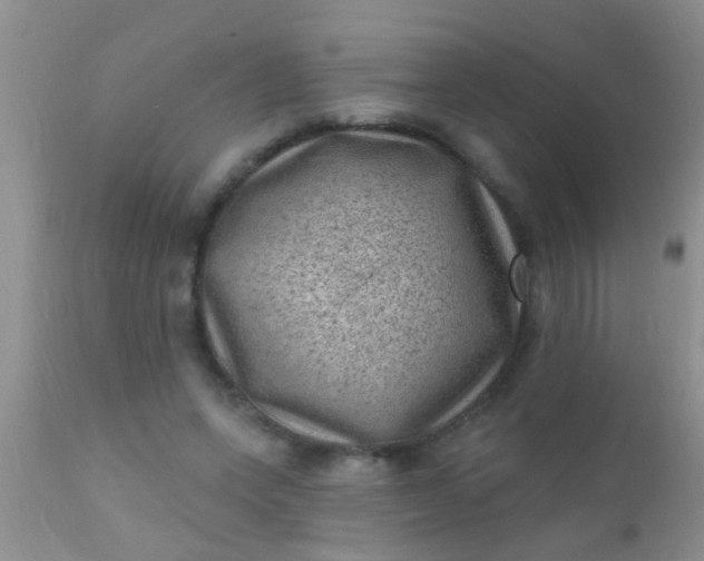 X0000110940543200907022135