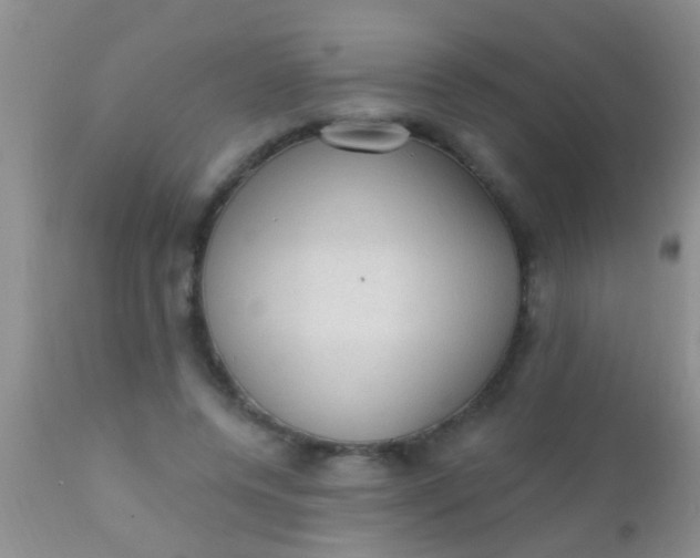 X0000110940544200907022135