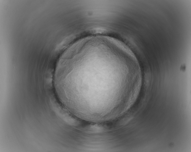 X0000110940545200907022135