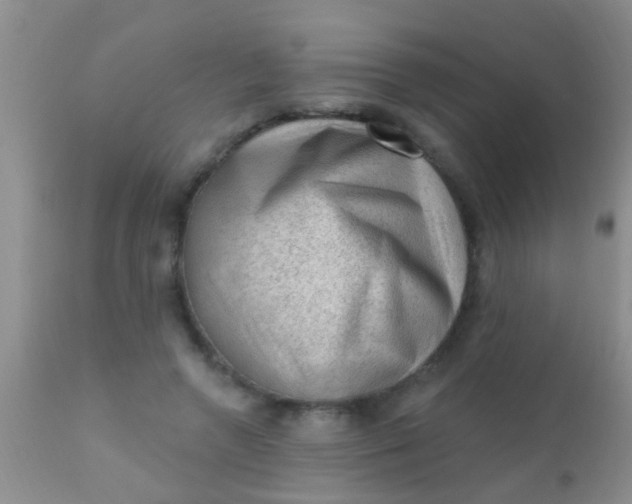 X0000110940546200907022135