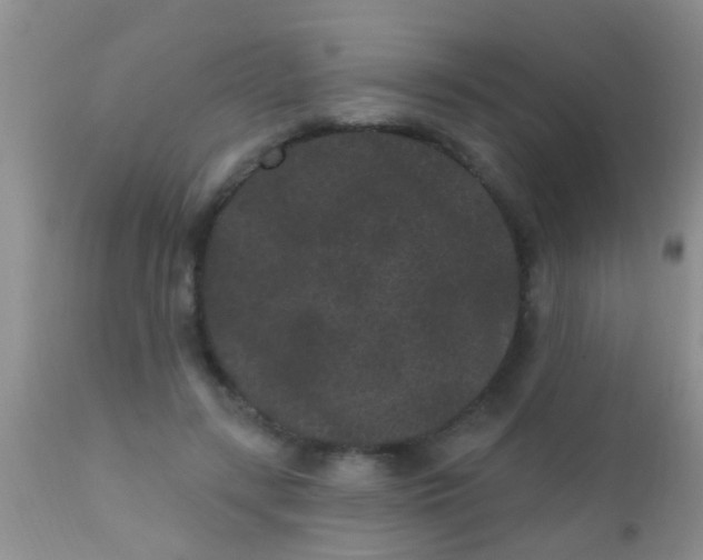 X0000110940547200907022135