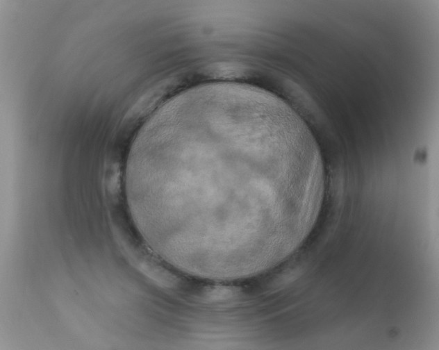 X0000110940549200907022135