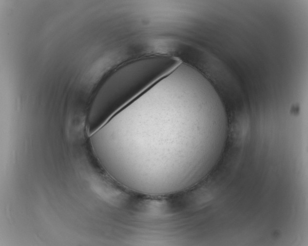 X0000110940552200907022135