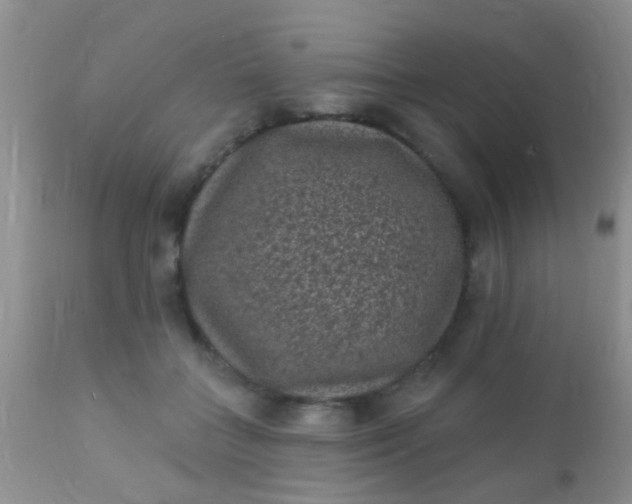 X0000110940555200907022135