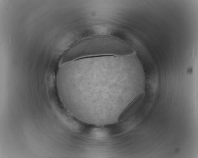 X0000110940556200907022135