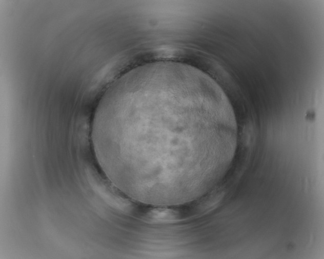 X0000110940557200907022135