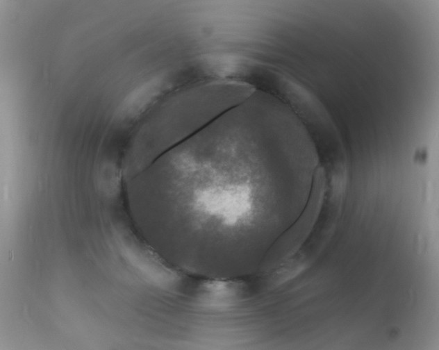 X0000110940558200907022135