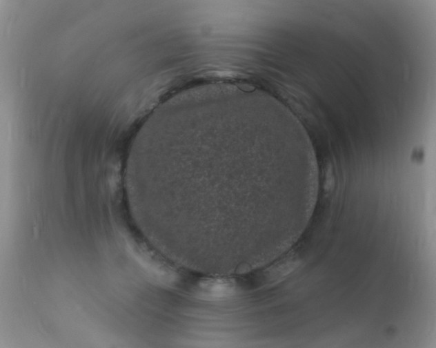 X0000110940559200907022135