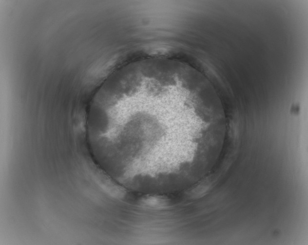 X0000110940561200907022135