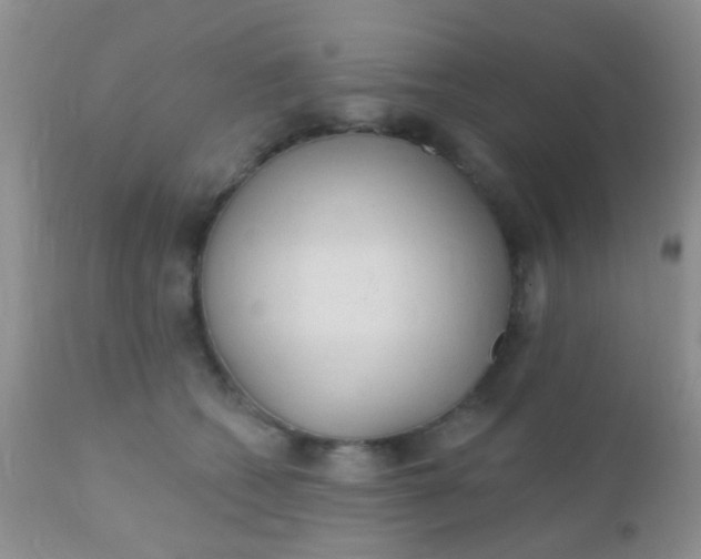 X0000110940562200907022135