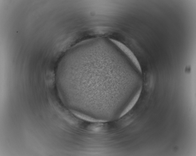 X0000110940563200907022135