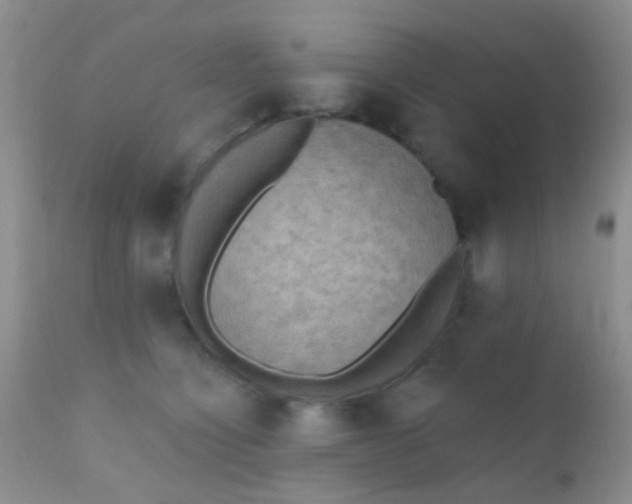 X0000110940564200907022135