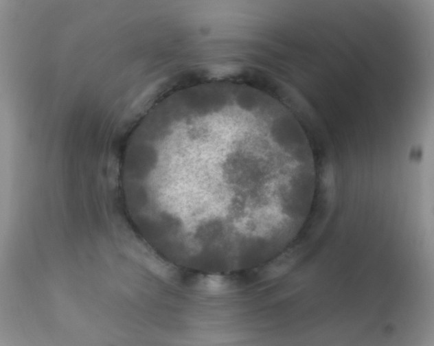 X0000110940565200907022135