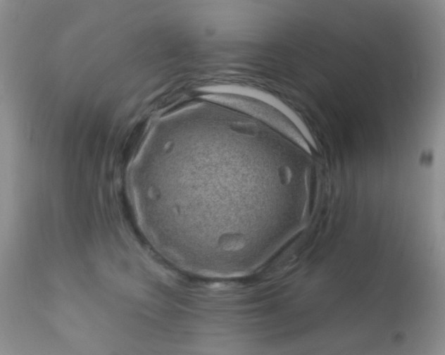 X0000110940566200907022135