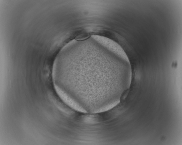 X0000110940567200907022135