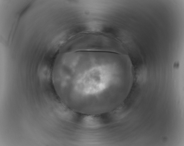 X0000110940568200907022135