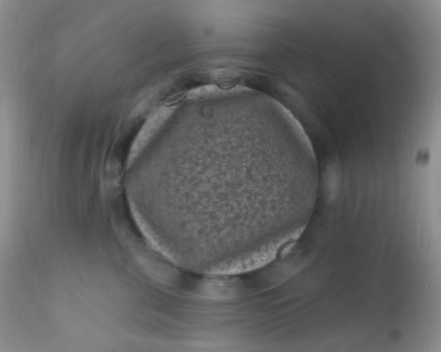 X0000110940571200907022136