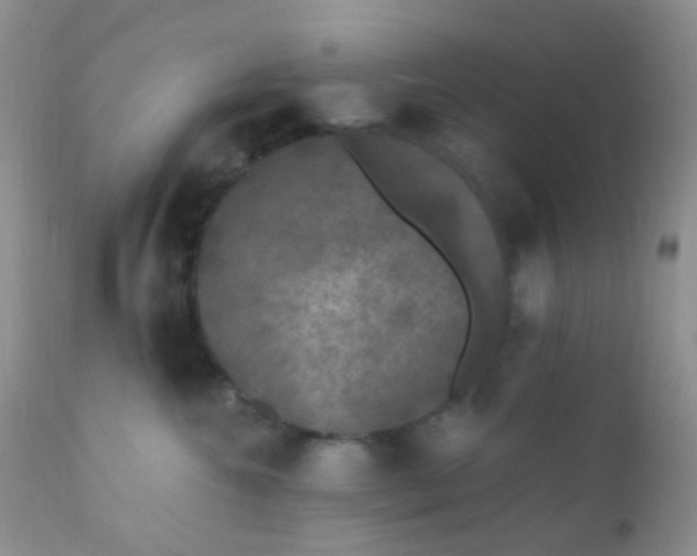 X0000110940572200907022136