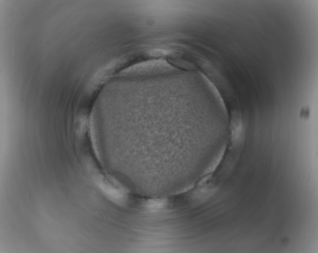 X0000110940574200907022136